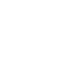Songkick icon