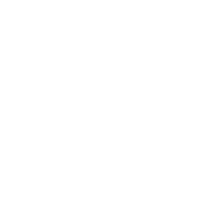 SkylinkNet SkylinkNet