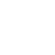 NPR icon
