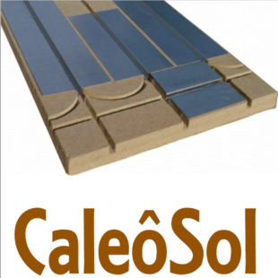 Caleosol