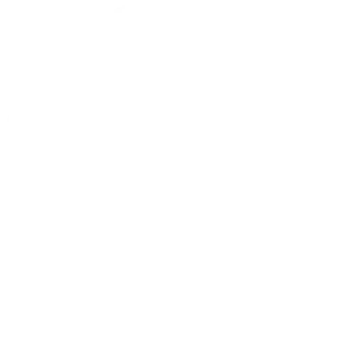 Xero icon