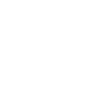 Neurio Neurio