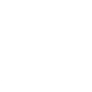 Wistia icon