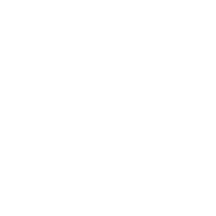 Google Health icon