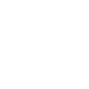 Emfit QS Emfit QS