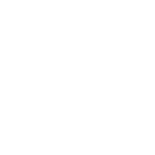 Gnbly - AI Caller