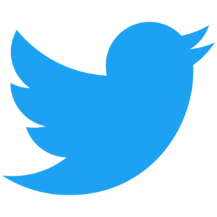 Image result for twitter logo to copy and paste