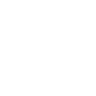 Birds & Bloom