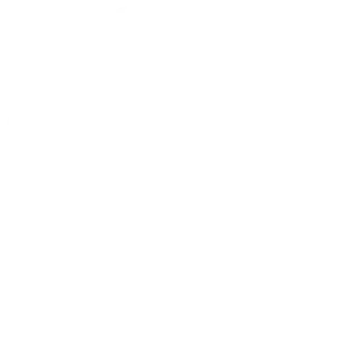 Browse AI icon