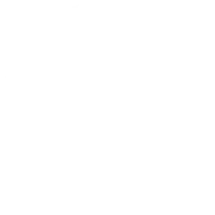 Noonlight Staging icon