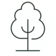 (more:trees) icon