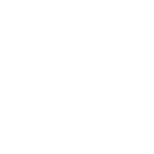 Publora icon