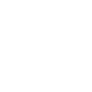 Diablo III icon