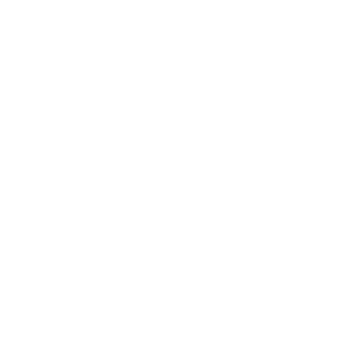 Ragic