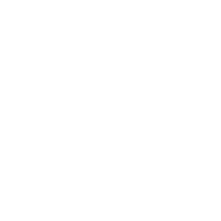 Aminiti