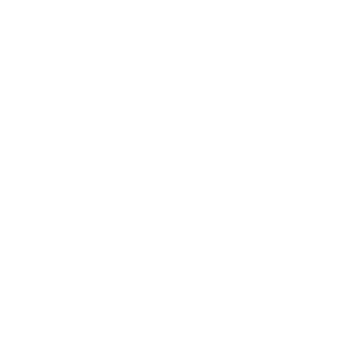 TikTok Lead Ads