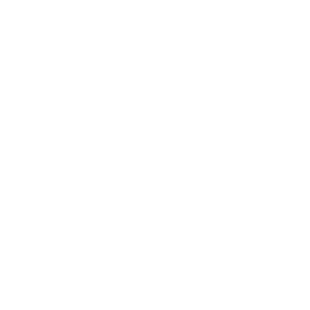 Overlord - AI accountability partner