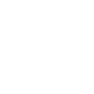 Wix icon