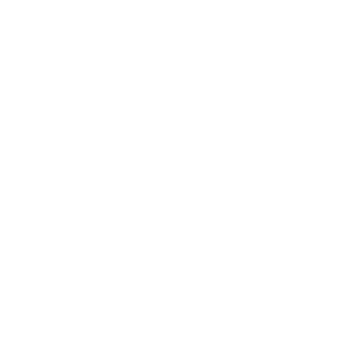 Federal Communications Commission