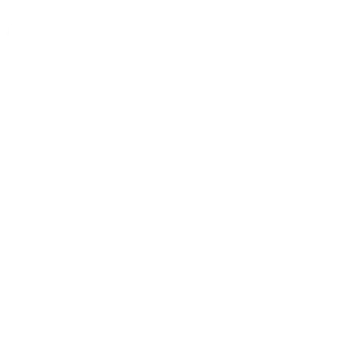 SL-BUS Technology