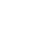 SL-BUS Technology