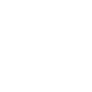 Destiny 2 icon