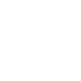 StarCraft II icon