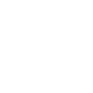Oura Ring icon
