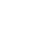 Envoy icon