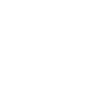 Squarespace icon
