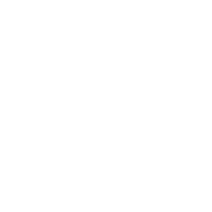 Welltory logo