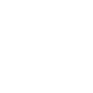 Lektrico Charger