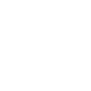 Notion Notion