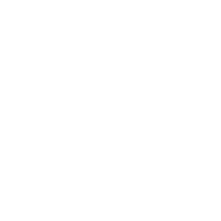 Nexx Garage Dev Open door.