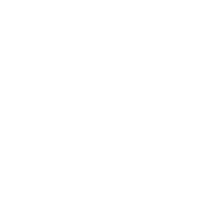 WeMo Insight Switch WeMo Insight Switch