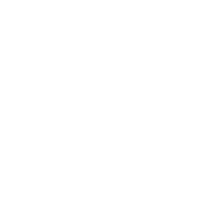 Somfy Protect Somfy Protect