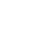 TikTok icon