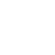 Google Nest Thermostat icon