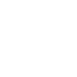 Gamma icon