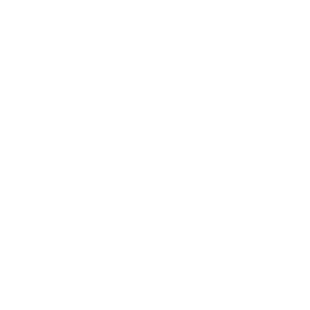 Basecamp icon