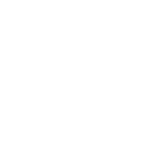 Venice AI icon