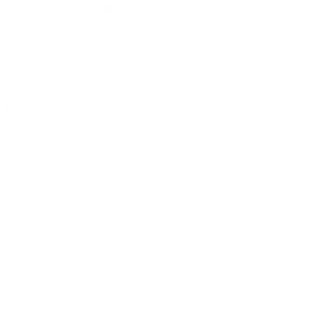 Motion icon