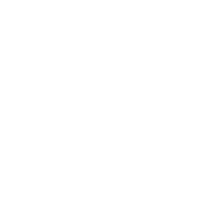 Fathom New Action Item.