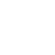 Fox News icon