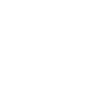 Fox News icon