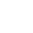 Phone Call (US only) icon