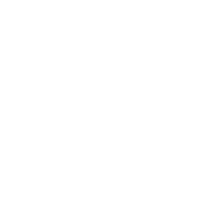 Fortinet Fortinet