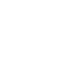 Camera widget icon