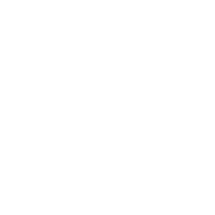 Camera widget Camera widget