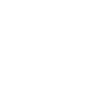 Wemo Outdoor Plug Toggle on/off.